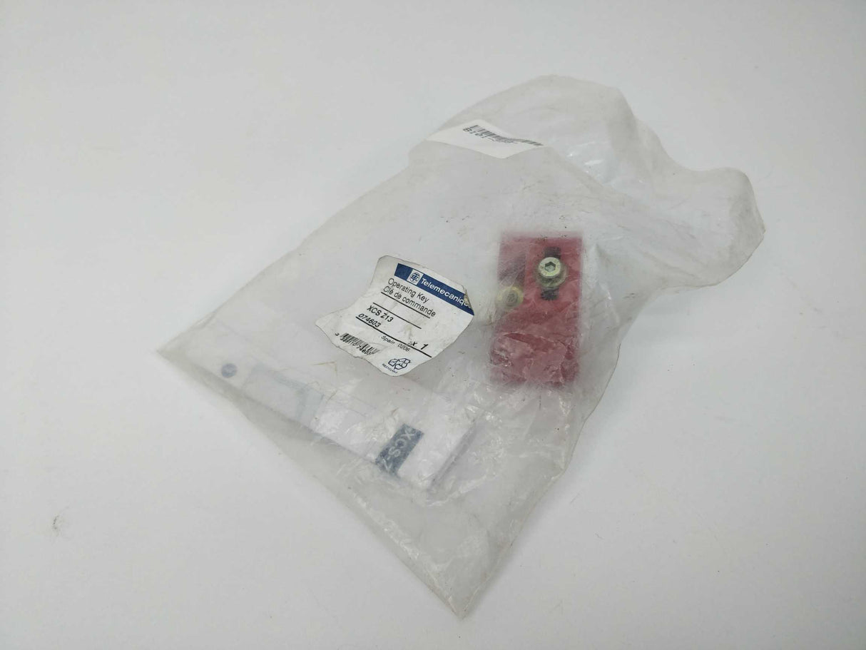 TELEMECANIQUE XCSZ13 Operating Key 074603