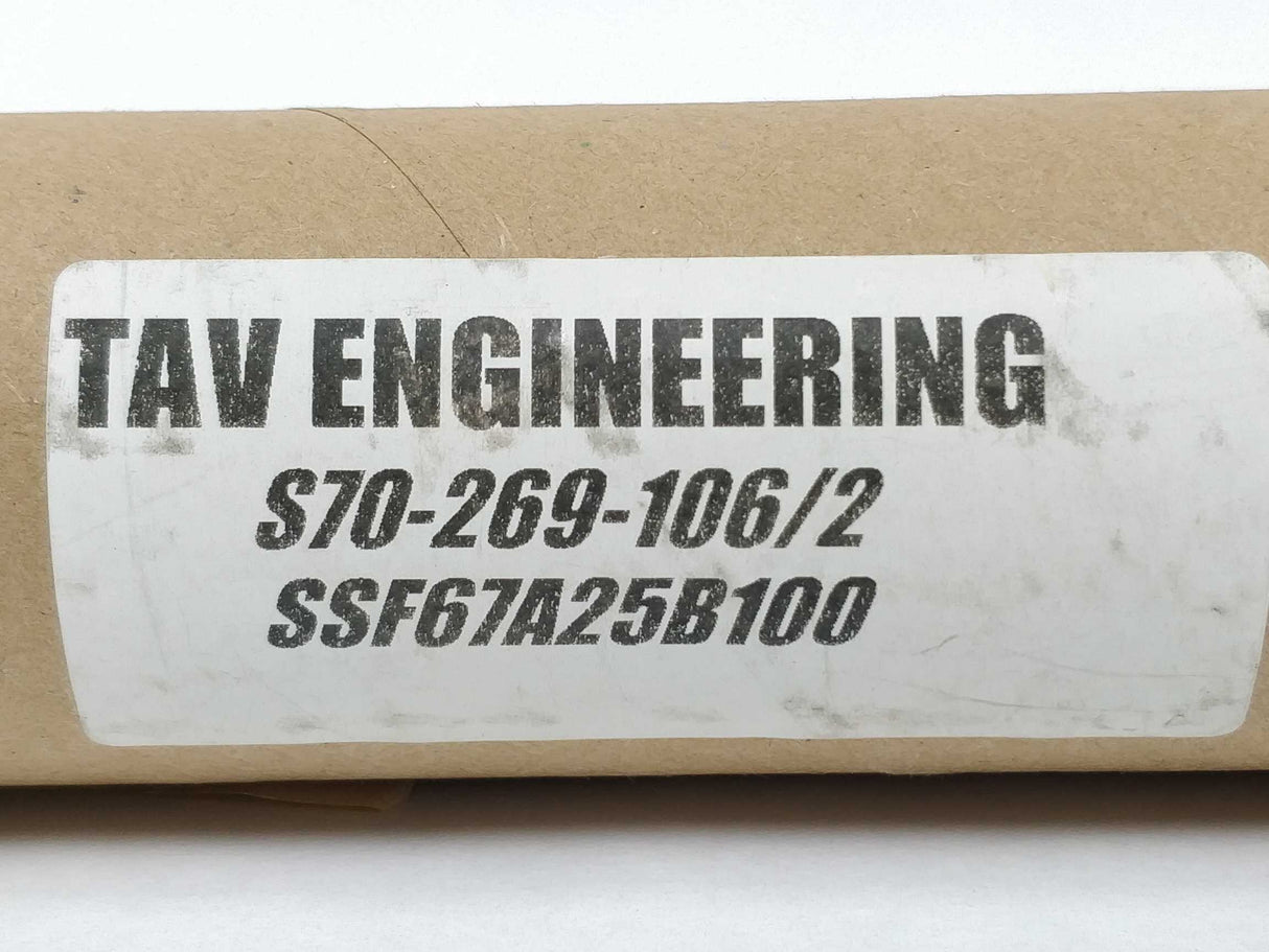 Cynergy3 492-8918 FS Dual 25/100 Vertical Float Switch SSF67A25B100