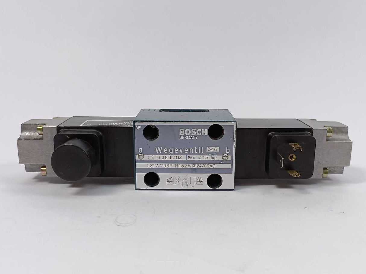 Bosch 81WV06P1N187WS024/00A0 0810090302 Valve 0831005013