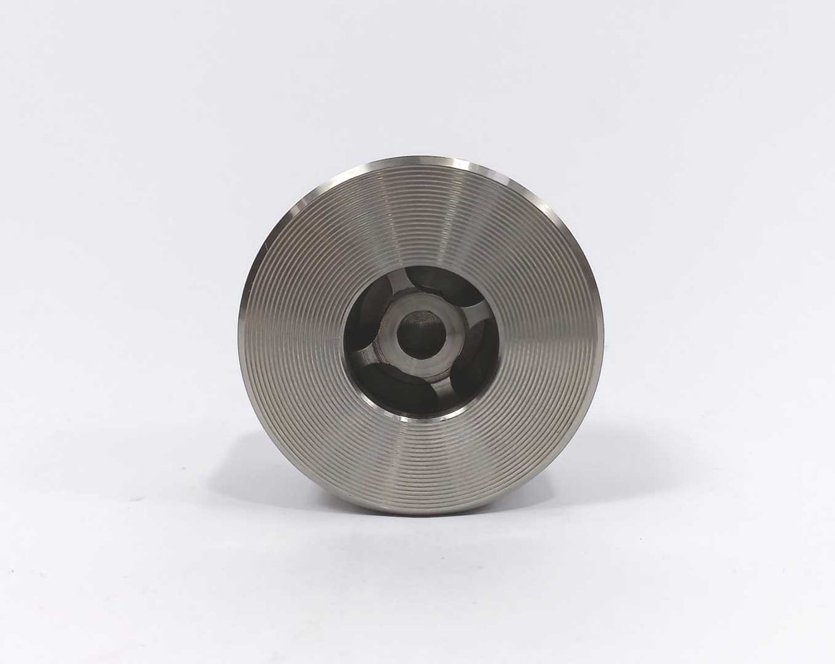 GHIBSON VALVES GT015 Wafer Check Valve DN 20 PN63-160, A600-900