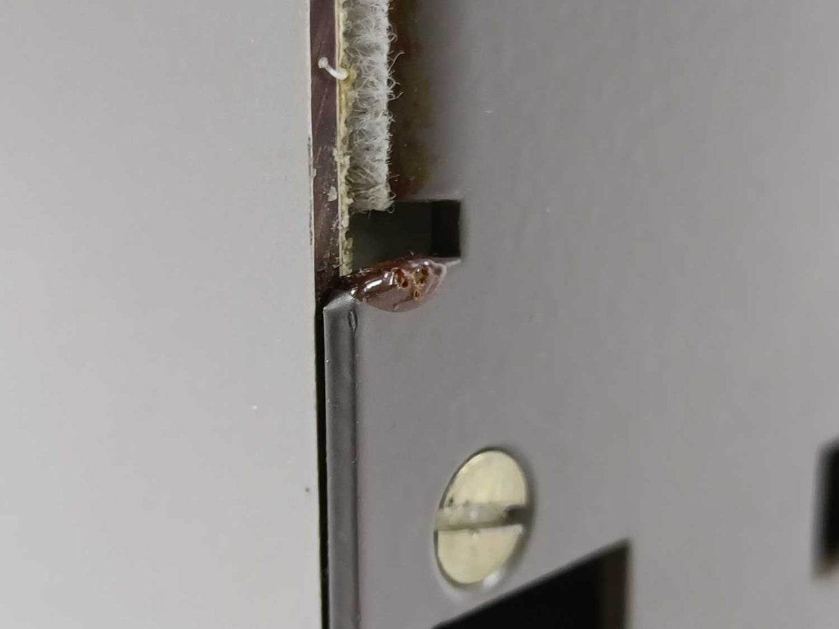 Siemens 6RA2625-6DV55 SIMOREG Coverter with Compact Controller Module