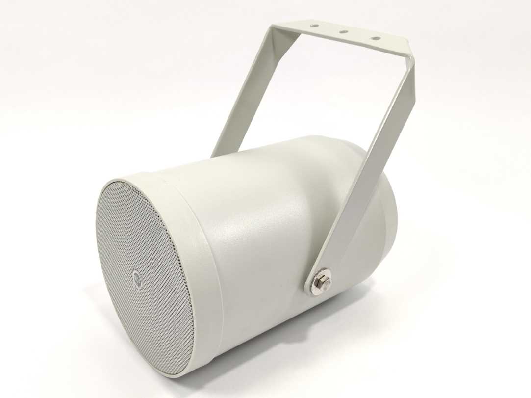 RCF DP 4EN Sound Projector Speaker 100V 10W