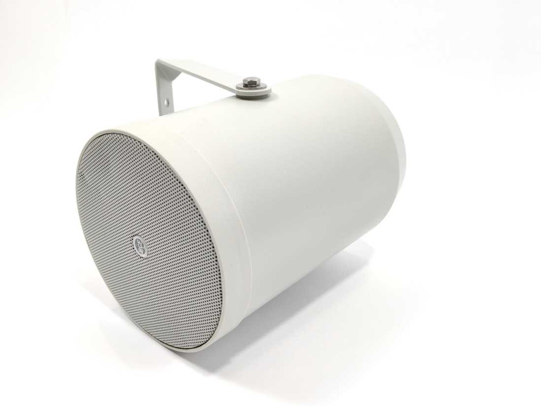 RCF DP 4EN Sound Projector Speaker 100V 10W