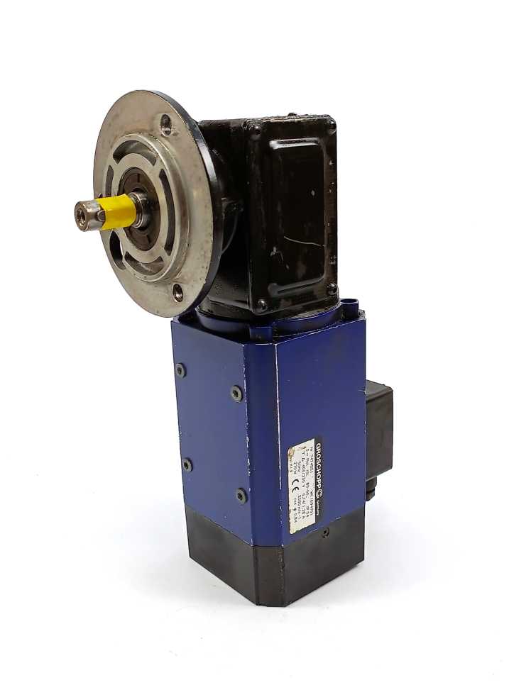 GROSCHOPP WK1694701 IGL 80-60 Gearmotor w/ Z 20 Gearbox (Ratio: 50)