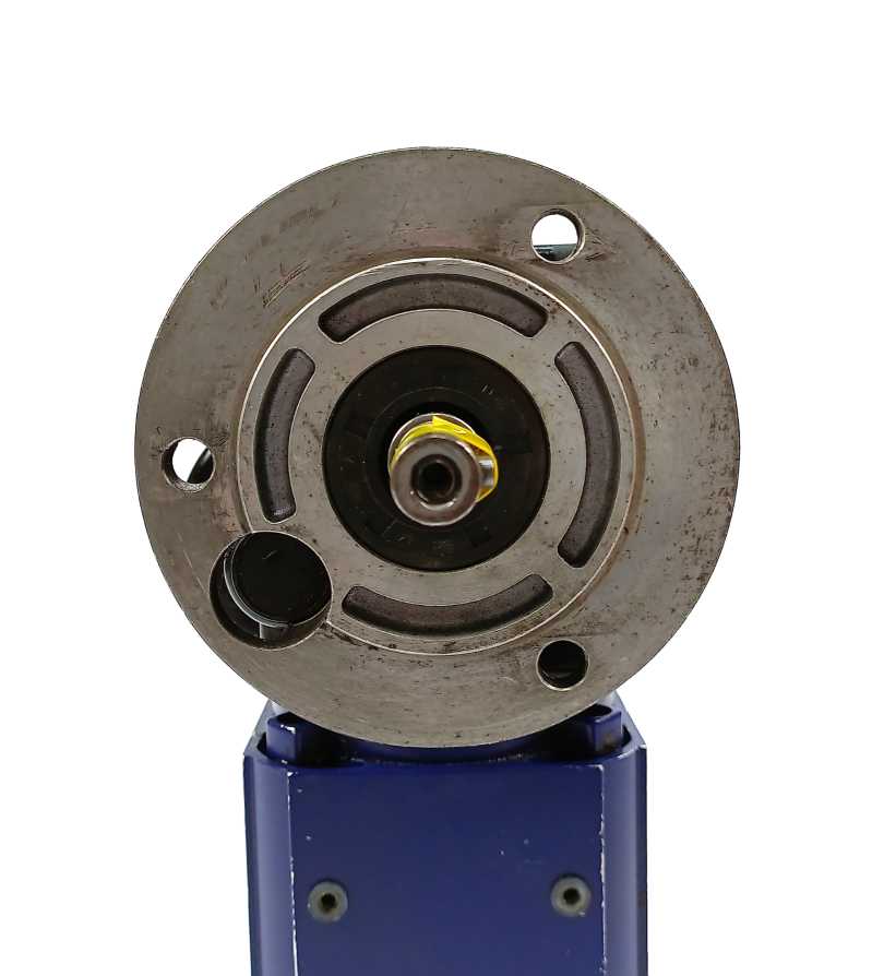 GROSCHOPP WK1694701 IGL 80-60 Gearmotor w/ Z 20 Gearbox (Ratio: 50)