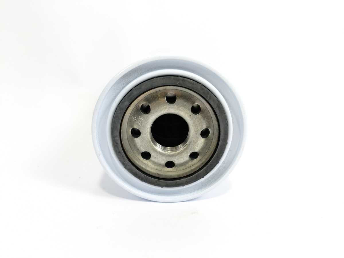 Lekang 3876-P10 Hydraulic Filter