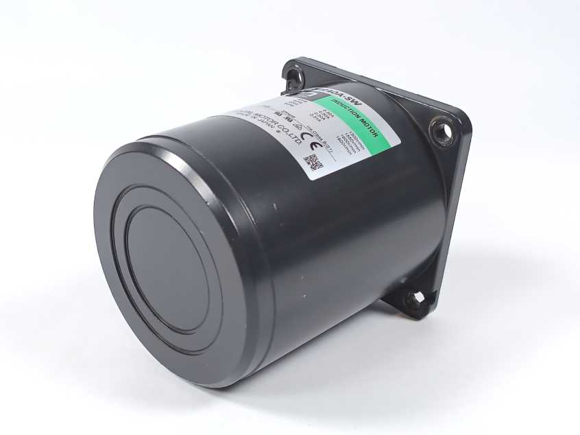 Oriental Motor 5IK40A-SW 40W Induction Motor