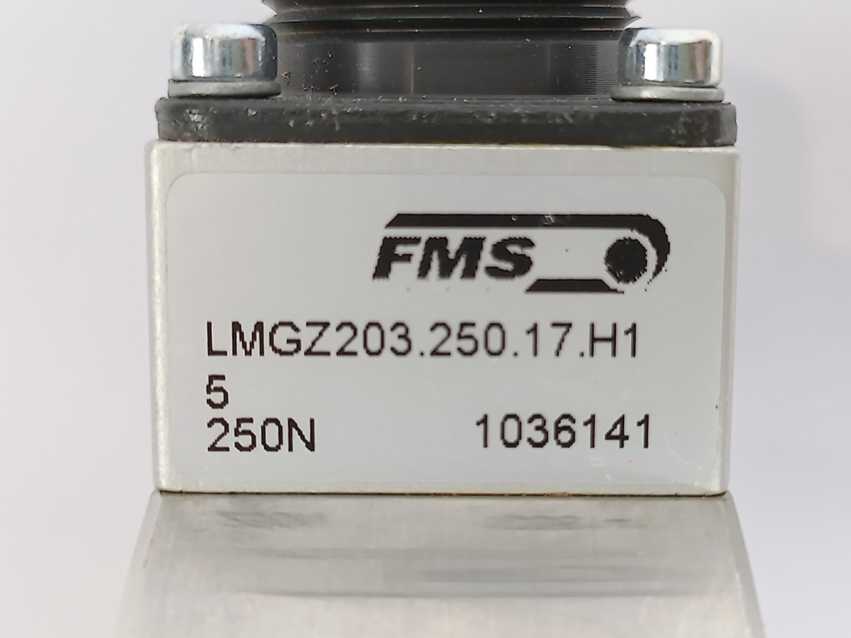 FMS LMGZ203.250.17.H1 Force-measuring Bearing