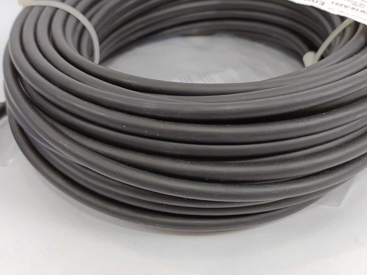 Endress+Hauser CYK10-A251 Memosens Data Cable