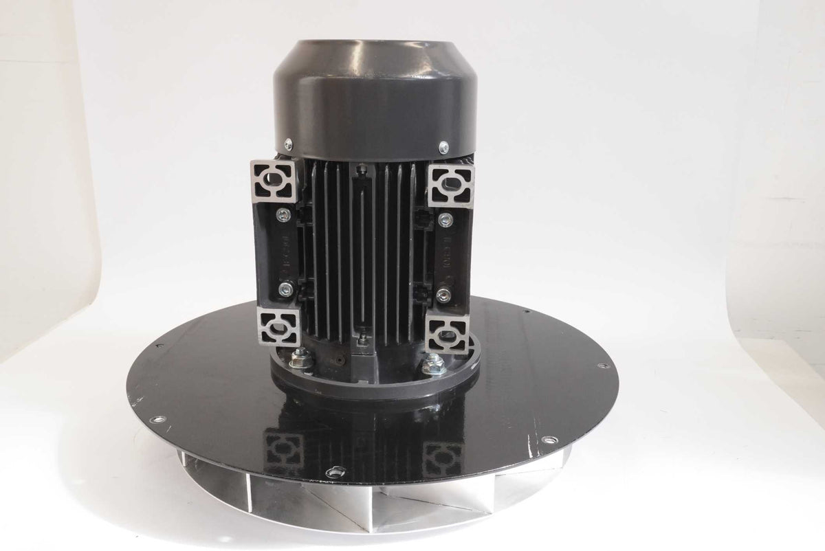 Shanghai Top Motor Co., Ltd. TM 90L1-2 Three-Phase Induction Motor