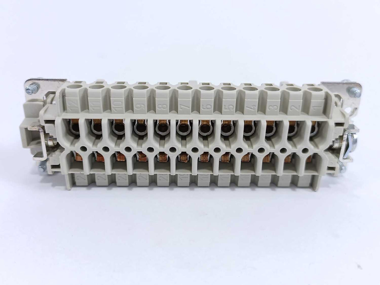 Wieland 72.310.2453.0 BAS STS 24 2,5 69 Male Insert 10 Pcs.