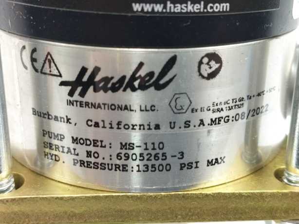 Haskel MS-110 1/3HP Stainless Steel Air Driven Liquid Pump, 110:1