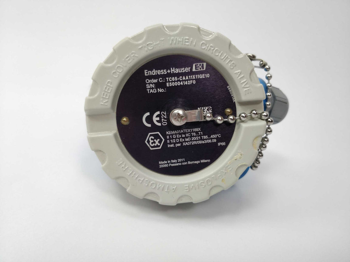 Endress+Hauser TC65-CAA11X11GE10 Thermometer