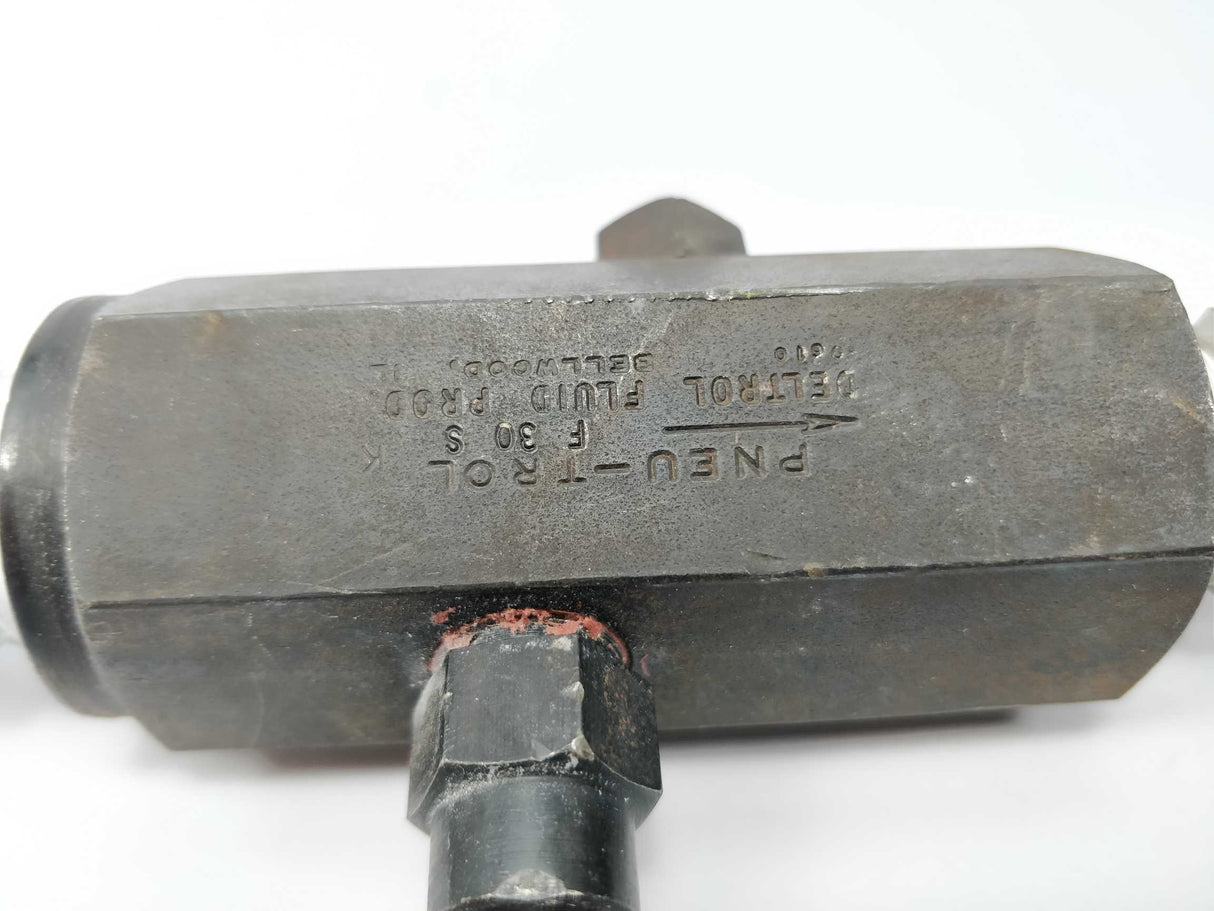 Pneu-Trol F 30 S