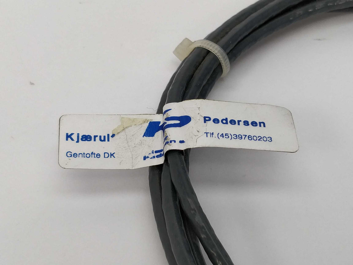 Kjærulf Pedersen 5751085 Temperature sensor PT100