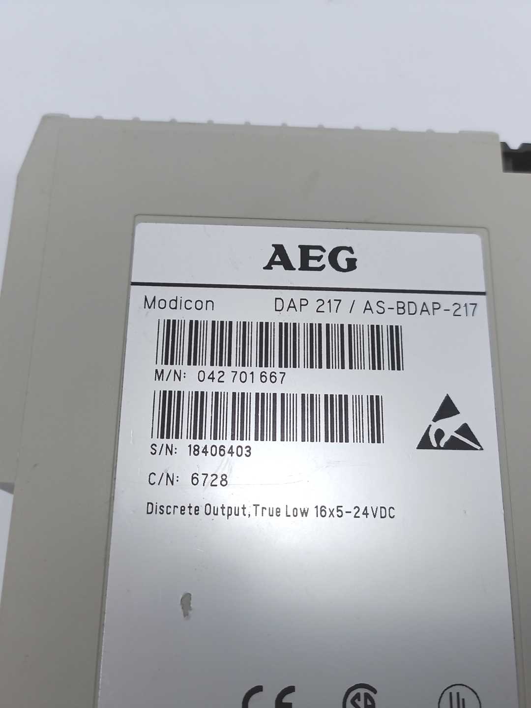 AEG DAP 217 16 Channel 24V True Low Discrete Output Module