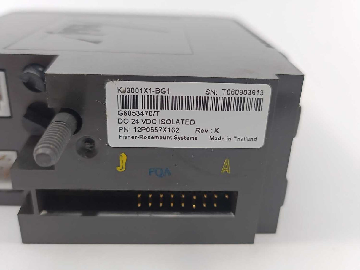 Fisher-Rosemount Systems 12P0557X162 KJ3001X1-BG1 DO 24VDC Isolated