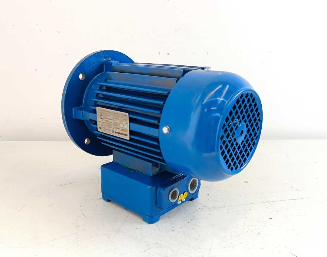 euromotori MAK 80A-4 CESI 06 ATEX 060X, MOTOR