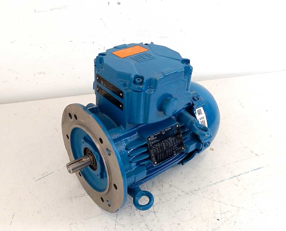 WEG W22Xdb Motor