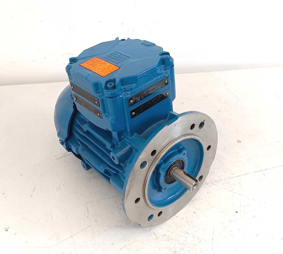 WEG W22Xdb Motor