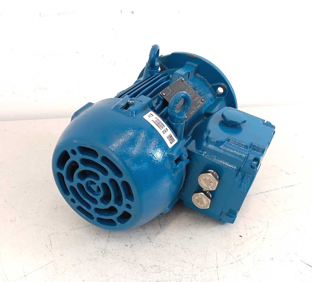 WEG W22Xdb Motor