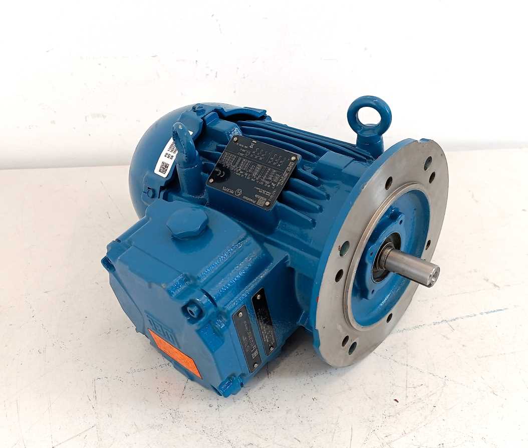 WEG W22Xdb Motor
