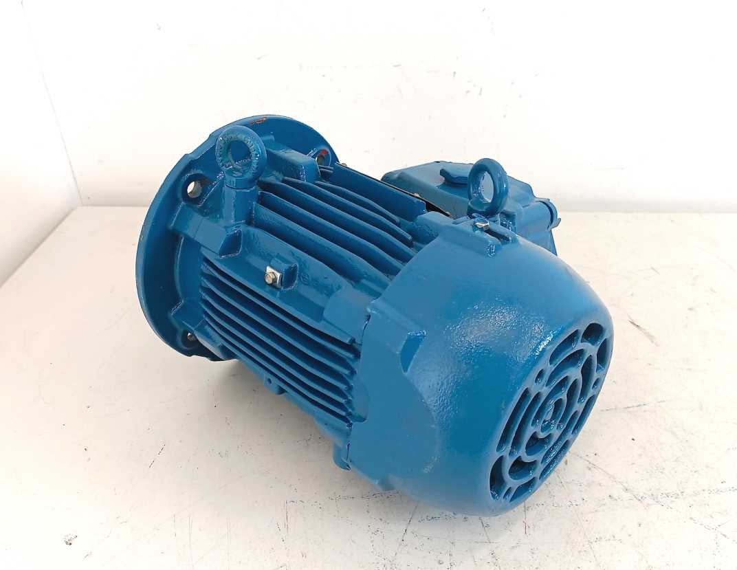 WEG W22Xdb Motor