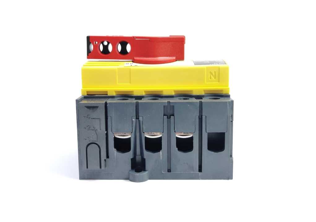 Schneider Electric 28916AD Switch Disconnector INS 40