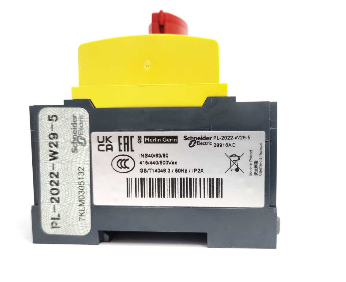 Schneider Electric 28916AD Switch Disconnector INS 40
