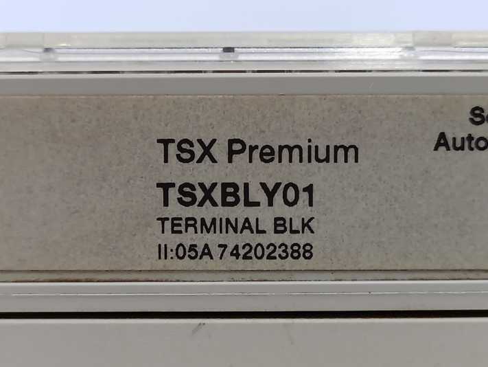 Schneider Automation TSXASY410 4 Isolated Analog Output W/ TSXBLY01