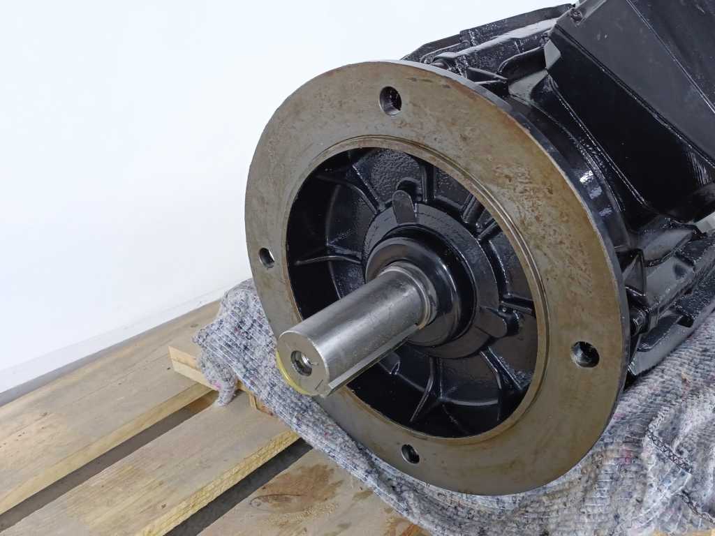 Cantoni Motor 3SIEK180M4 S10-133-029, V400/690, A33.9/19.7, Hz50, rpm1475