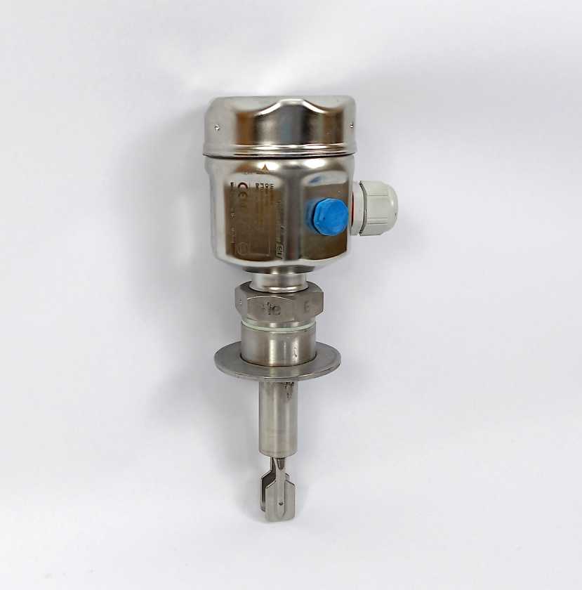 Endress+Hauser FTL51H-GGW2DC6G6C Liquiphant M FTL51H