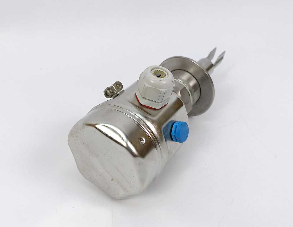 Endress+Hauser FTL51H-GGW2DC6G6C Liquiphant M FTL51H