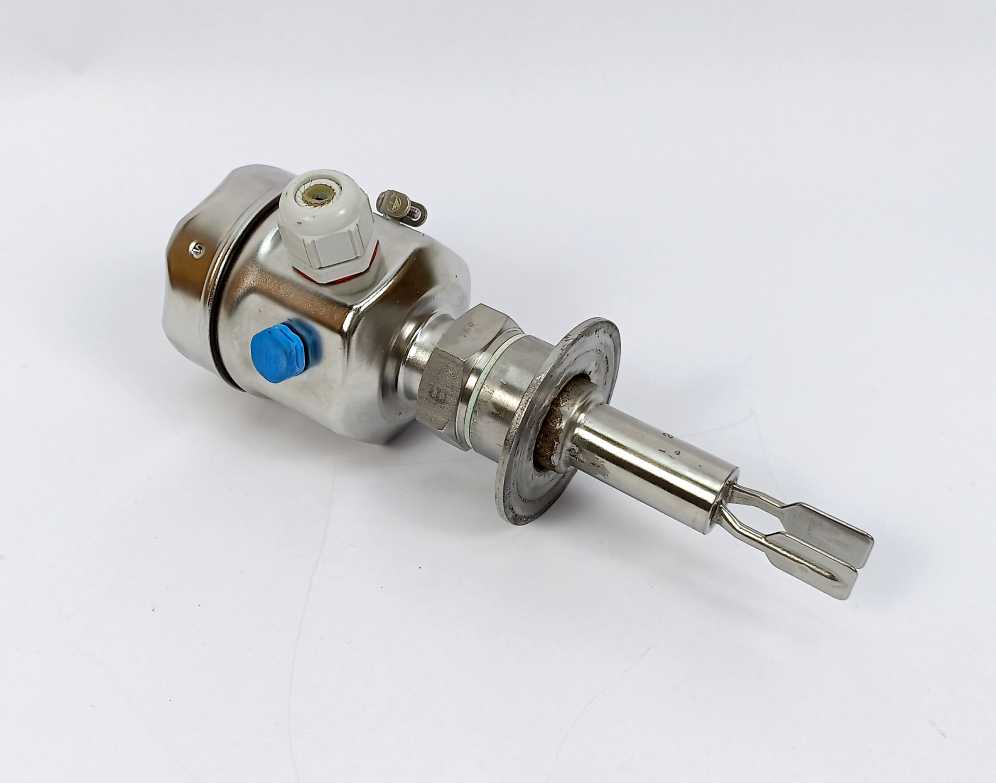 Endress+Hauser FTL51H-GGW2DC6G6C Liquiphant M FTL51H