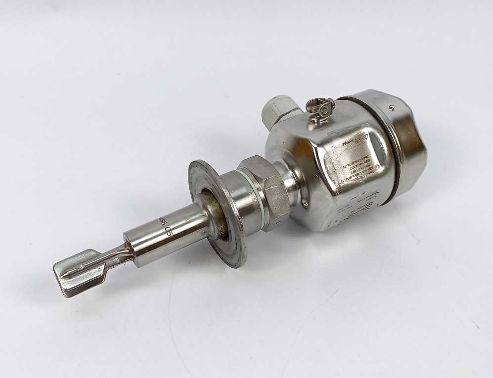 Endress+Hauser FTL51H-GGW2DC6G6C Liquiphant M FTL51H