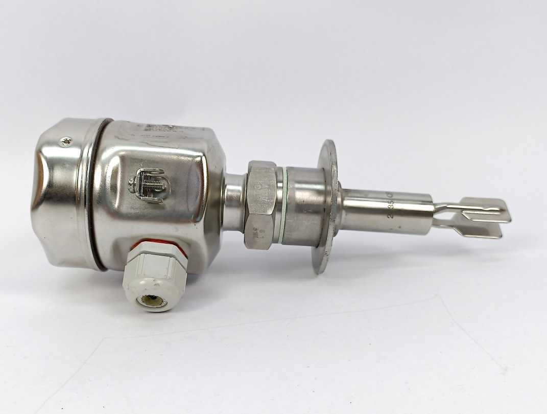 Endress+Hauser FTL51H-GGW2DC6G6C Liquiphant M FTL51H