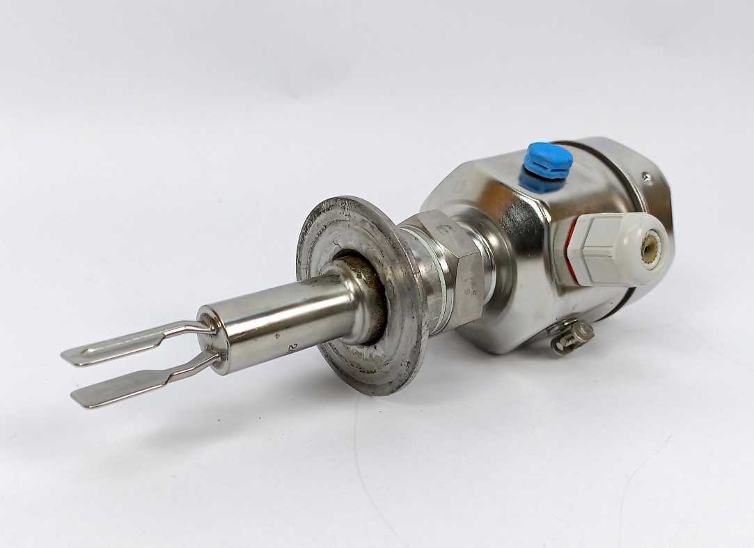 Endress+Hauser FTL51H-GGW2DC6G6C Liquiphant M FTL51H