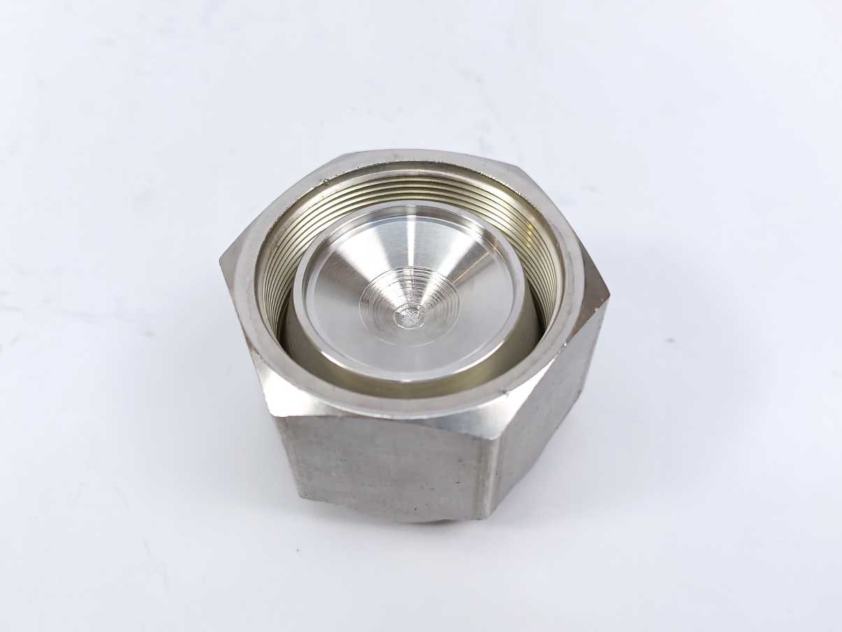 Hy-Lok CPA-20 S316 Plug for Hy-Lok Port 10 Pcs. Batch