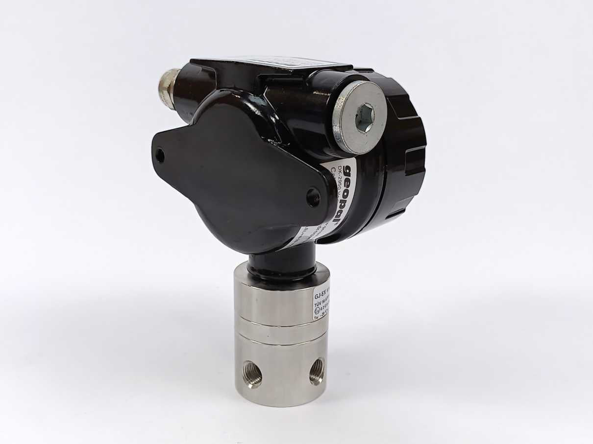 Geopal GJ-EX Gas Detector. Ex certified