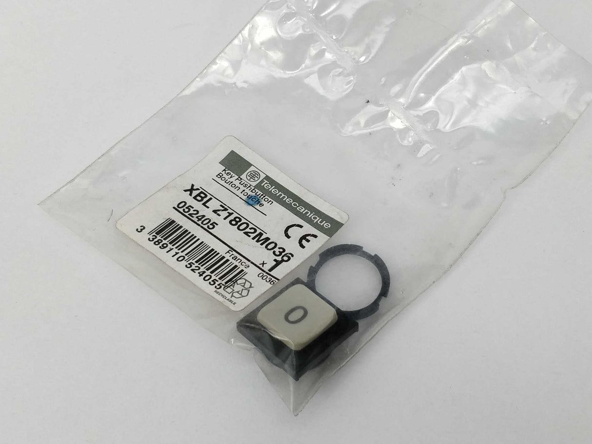 TELEMECANIQUE XBL Z1802M036 Key pushbutton 052405