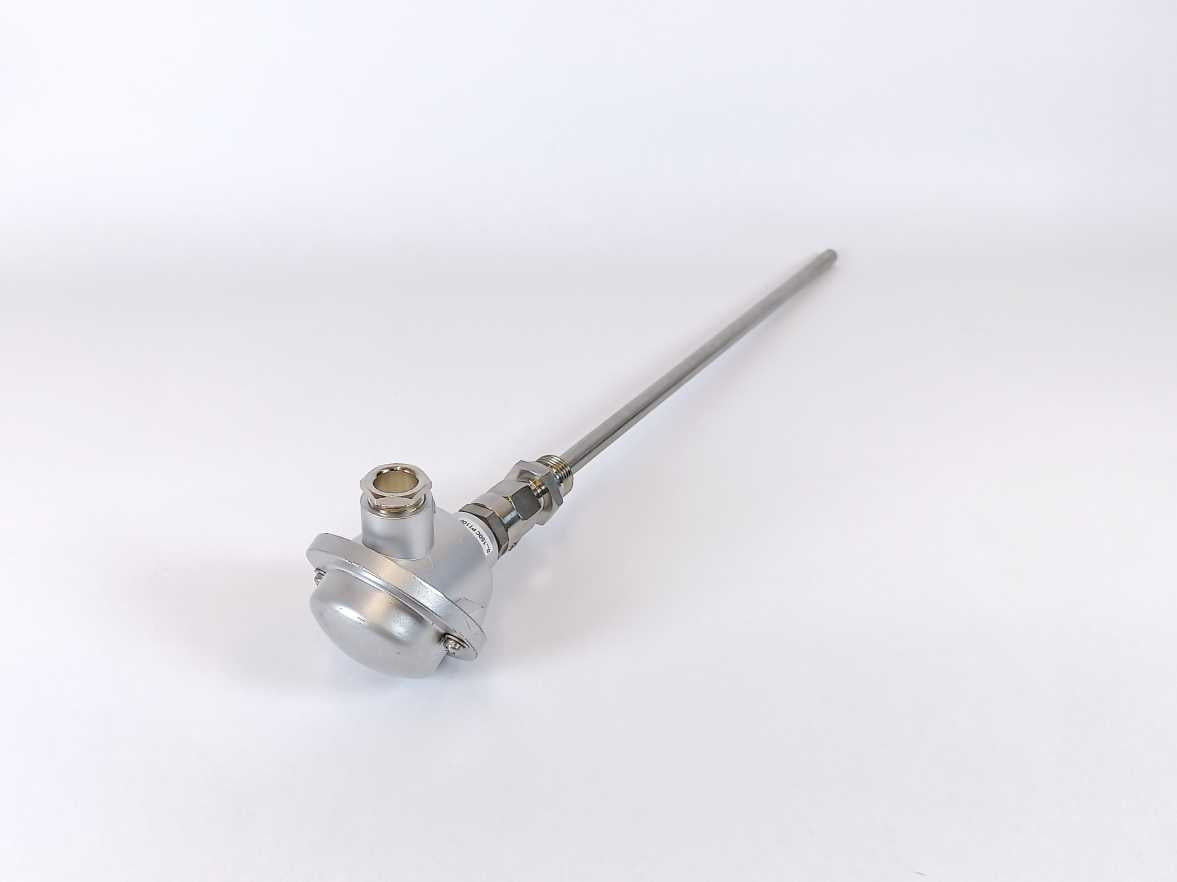 2210410411 PT100 Temp Probe w/ 70IPH00001 Inor transmitter