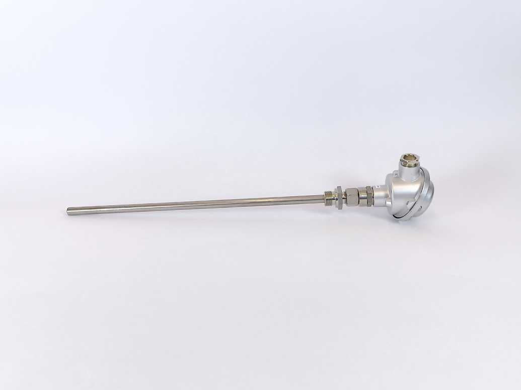 2210410411 PT100 Temp Probe w/ 70IPH00001 Inor transmitter