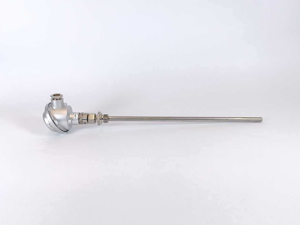 2210410411 PT100 Temp Probe w/ 70IPH00001 Inor transmitter