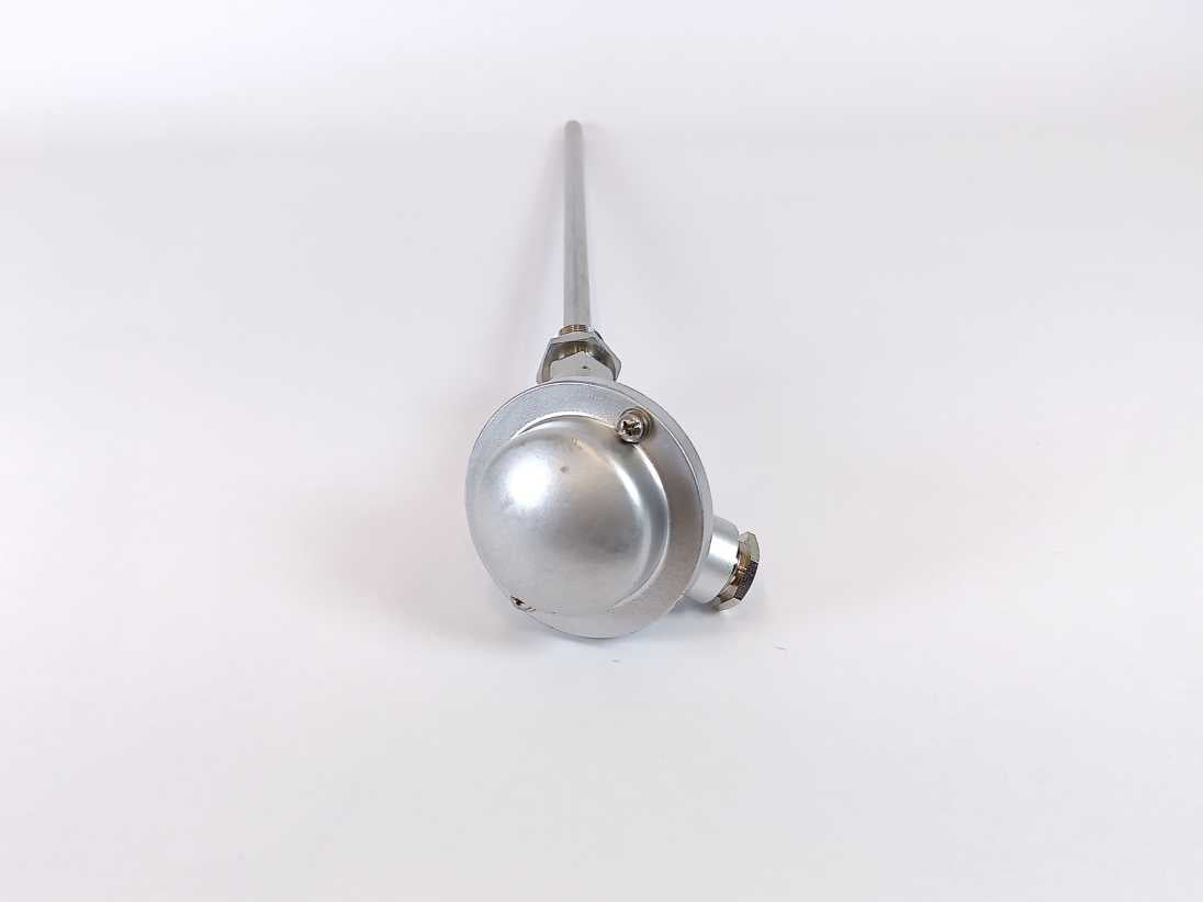 2210410411 PT100 Temp Probe w/ 70IPH00001 Inor transmitter