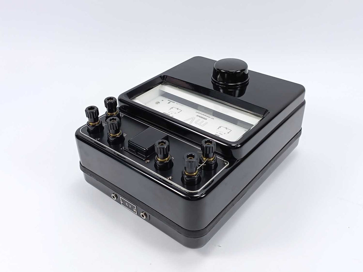 Siemens L24U1-172 Millivoltmeter