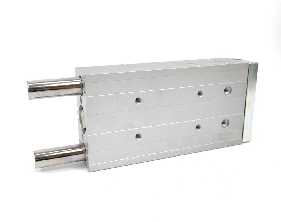 Festo 170862 DFM-32-160-P-A-GF Guided Drive