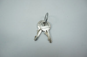 Rittal TS 8611.180 TS 8611.180 Lock W/ Keys