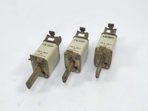 LK/Bussmann 170E4318 Fuse 100A 500V HL