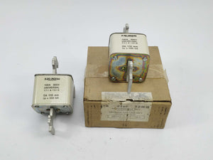 LK/Bussmann 171A7018 Fuse 100A 500V universal CA 110mm 100kA 2Pcs.