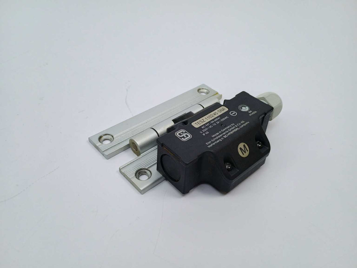 Schmersal TESZ1102/45-SNA Hinge Switch